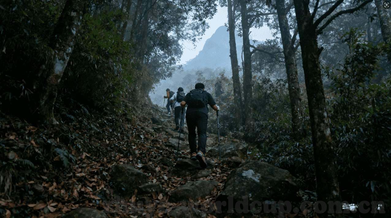世界杯投注法攒3kh-世界杯投注法，策略与智慧并重的博弈